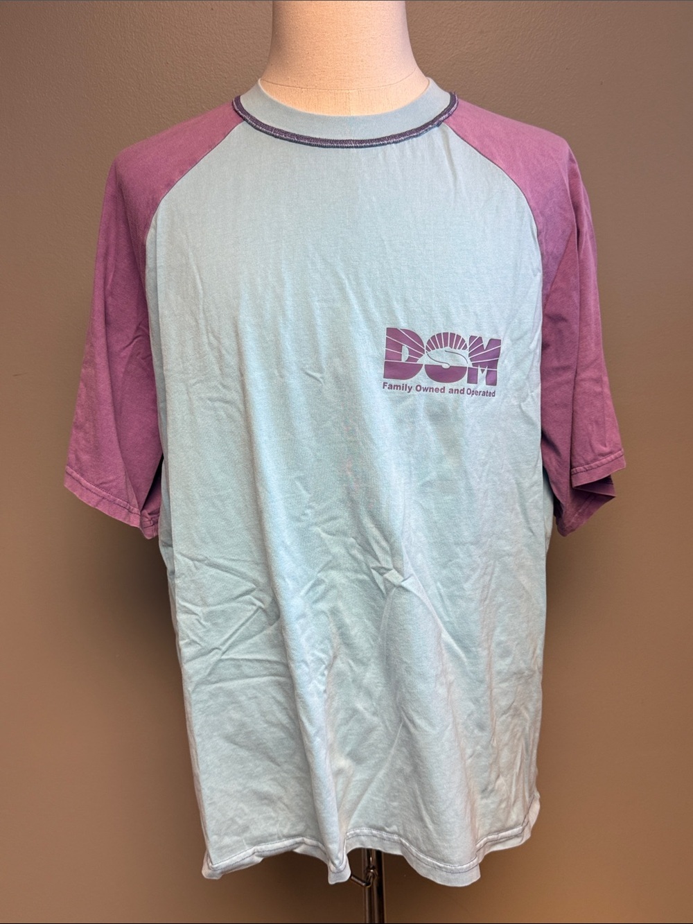 Diet Starts Monday DSM Raglan Graphic T-Shirt Blue Purple XL Cotton